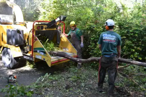 tree services DeLand Southwest